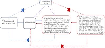 Genetic prediction of the causal relationship between schizophrenia and tumors: a Mendelian randomized study